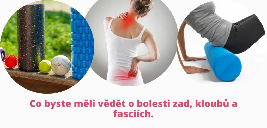 Co byste měli vědět o bolesti zad, kloubů a fasciích - martinafallerova.cz