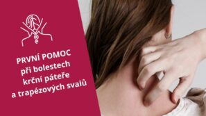 Bolí trapézové svaly cviky - martinafallerova.cz
