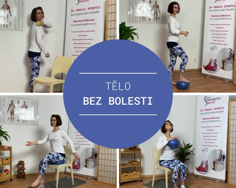Sedavé zaměstnání bolest zad cviky - martinafallerova.cz
