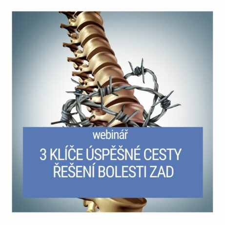 3 klíče úspěšné cesty k odstranění bolesti zad - martinafallerova.cz