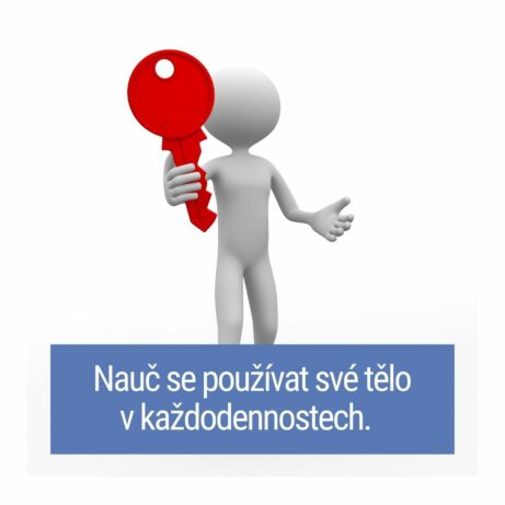 Škola pohybových návyků - martinafallerova.cz