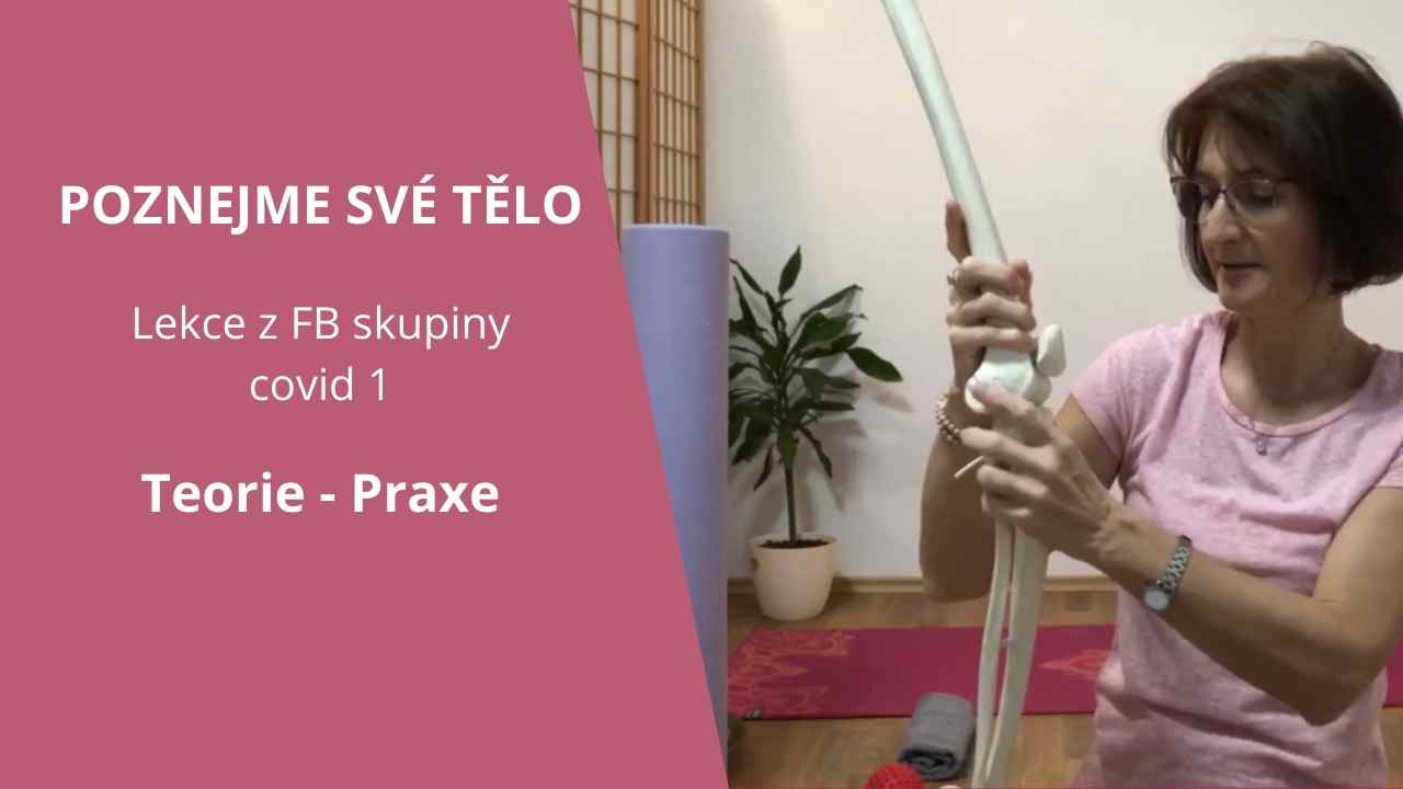 Poznej své tělo - martinafallerova.cz