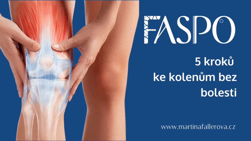 Jak na&nbsp;kolena v&nbsp;pohybu a&nbsp;bez bolesti - martinafallerova.cz