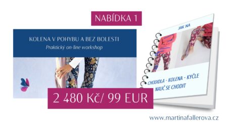 Jak na kolena bez bolesti - martinafallerova.cz