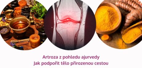 Artroza z pohledu ajurvedy: Jak podpořit tělo přirozenou cestou - martinafallerova.cz