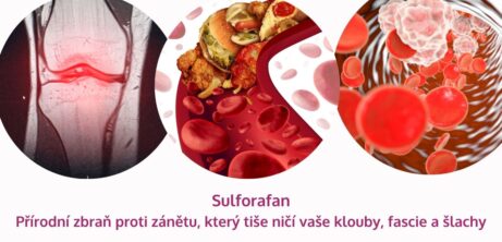 Sulforafan: přírodní zbraň proti zánětu, který tiše ničí vaše klouby, fascie a&nbsp;šlachy - martinafallerova.cz