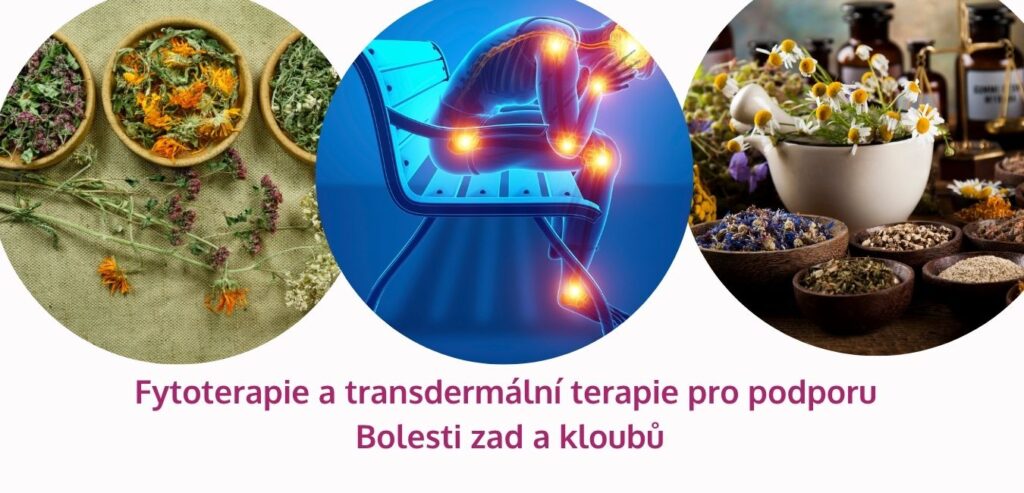 Fytoterapie a transdermální terapie pro podporu Bolesti zad a kloubů - martinafallerova.cz