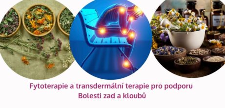 Fytoterapie a&nbsp;transdermální terapie pro&nbsp;podporu Bolesti zad a&nbsp;kloubů - martinafallerova.cz